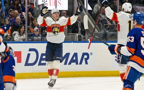 Vilmanis ar veiklu manevru gūst vārtus NHL, "Panthers" turpina grimt