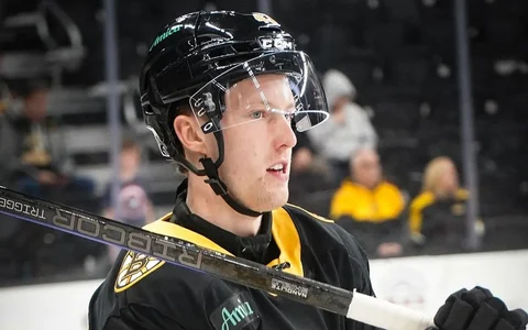 "Bruins" apskatnieks neiepriecina ar prognozēm par Danu Ločmeli